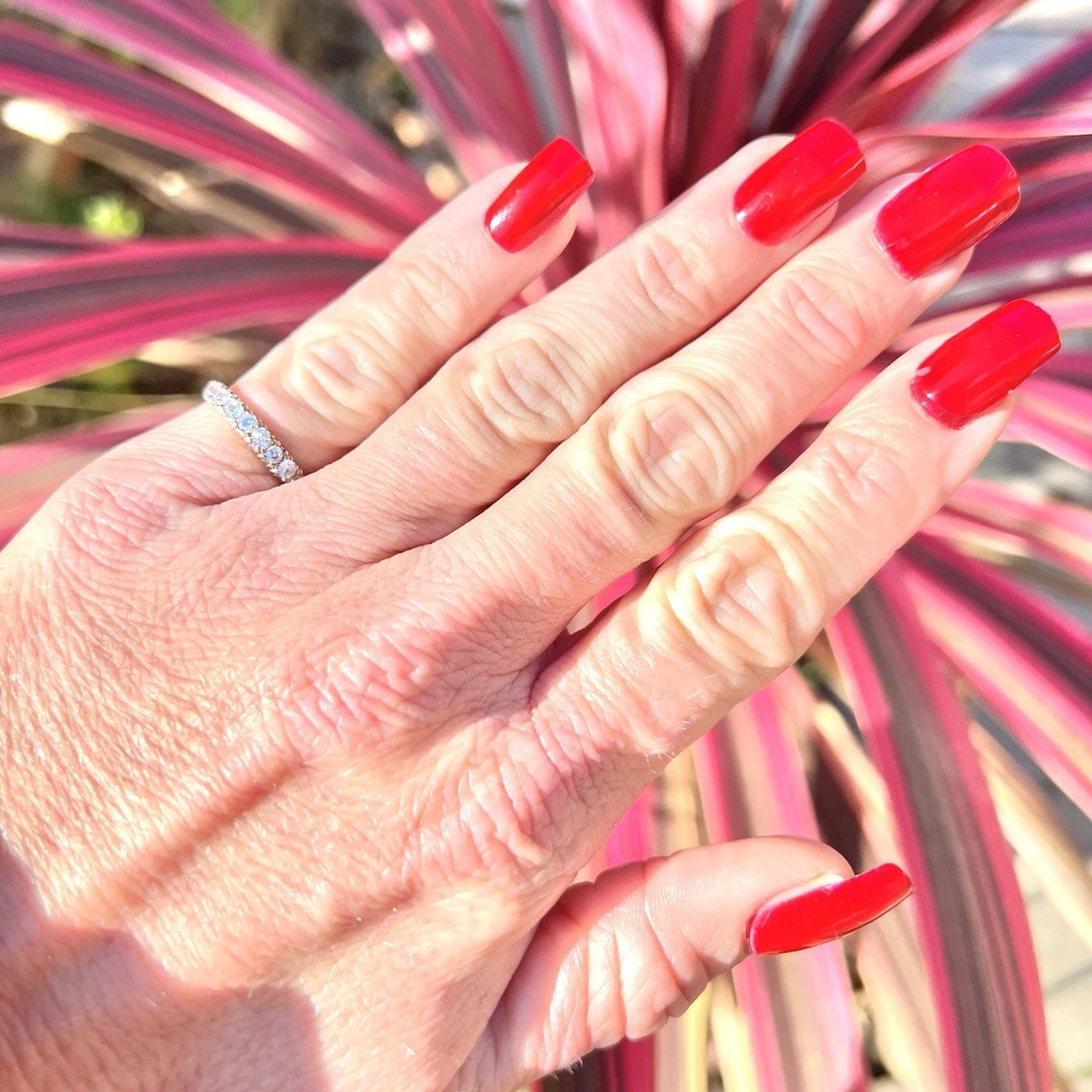 Hand with red nails and a ring in front of pink and green striped leaves