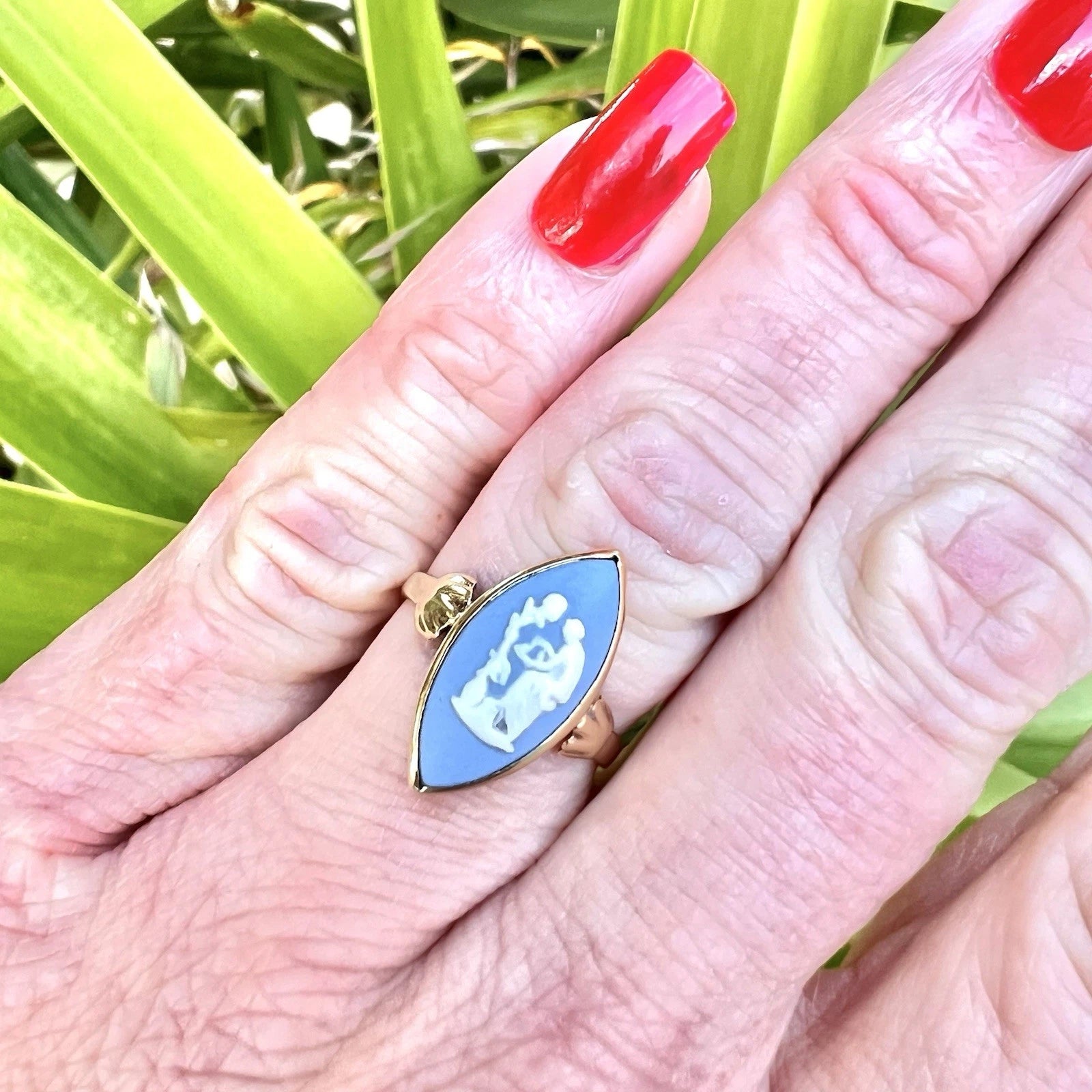 Hand wearing a blue ring with a gold band against a green leafy background