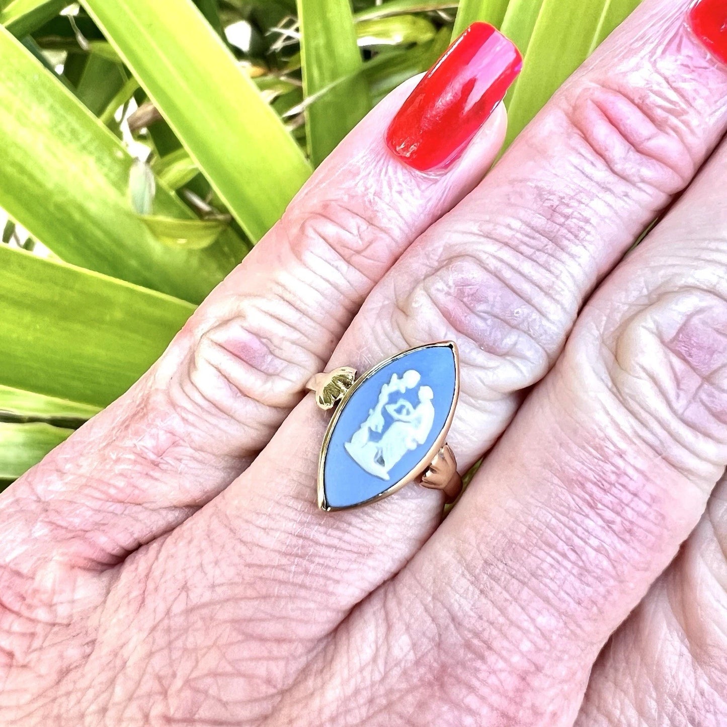 Hand wearing a blue and gold cameo ring against a green leafy background