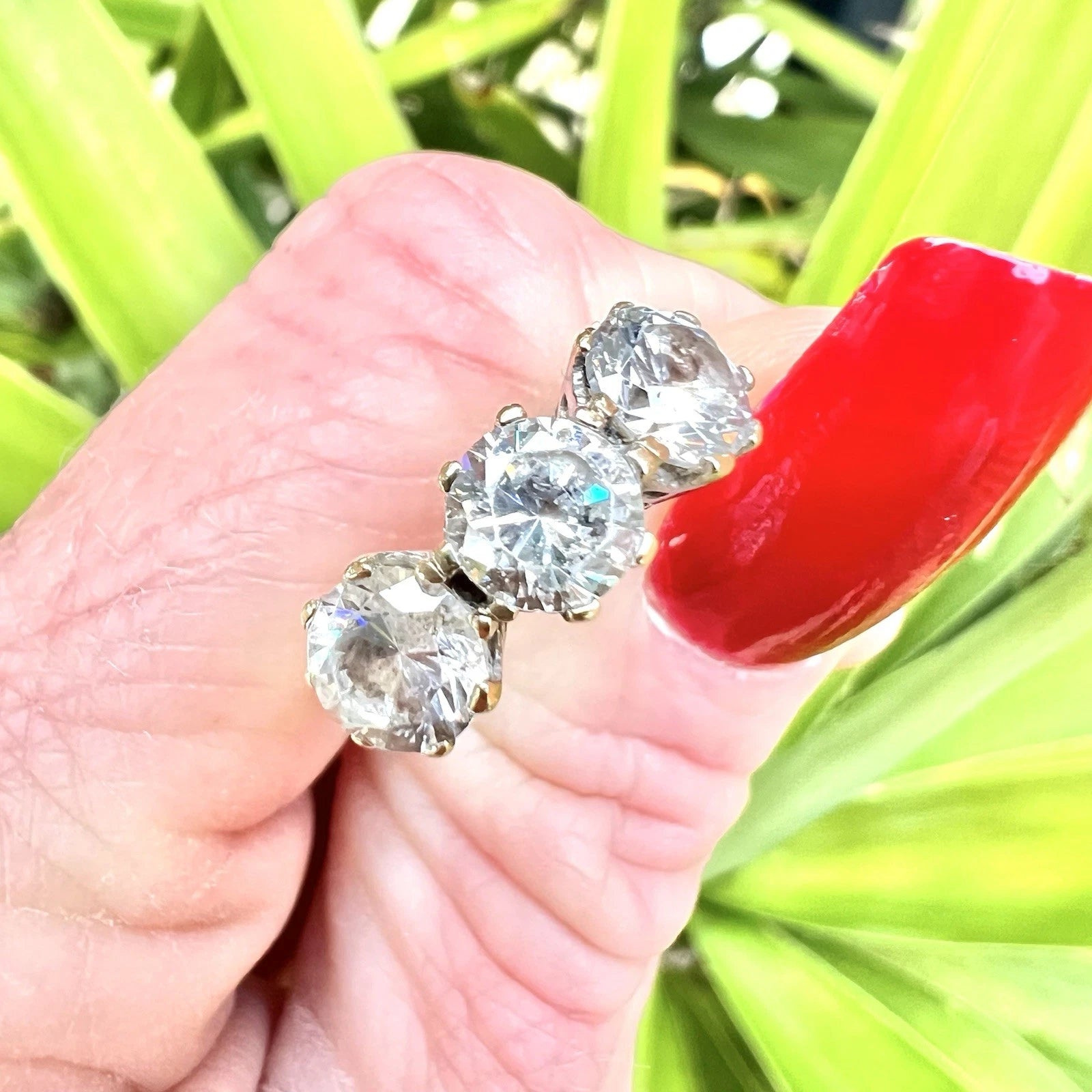 CZ three stone ring held by a hand with red nail polish against a green leafy background