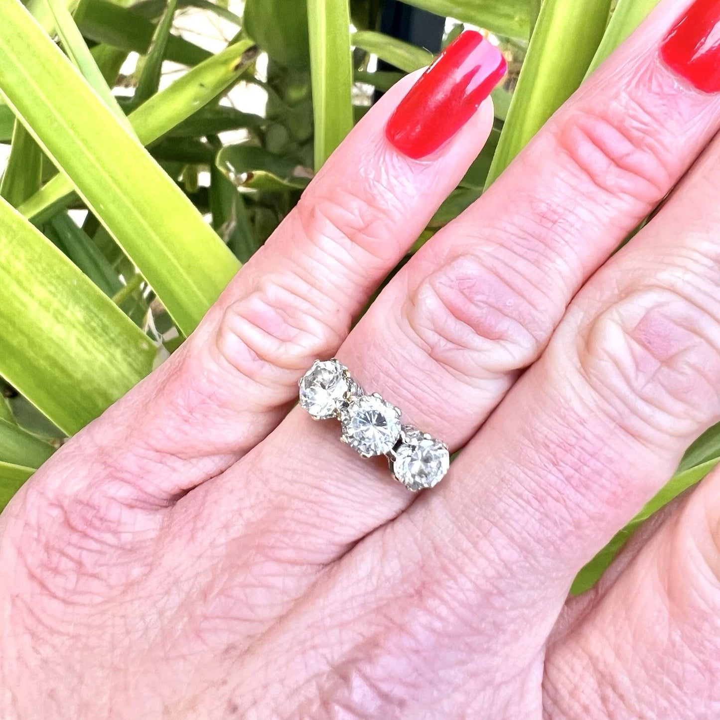 Hand wearing a large three stone CZ ring with red nail polish against a green leafy background