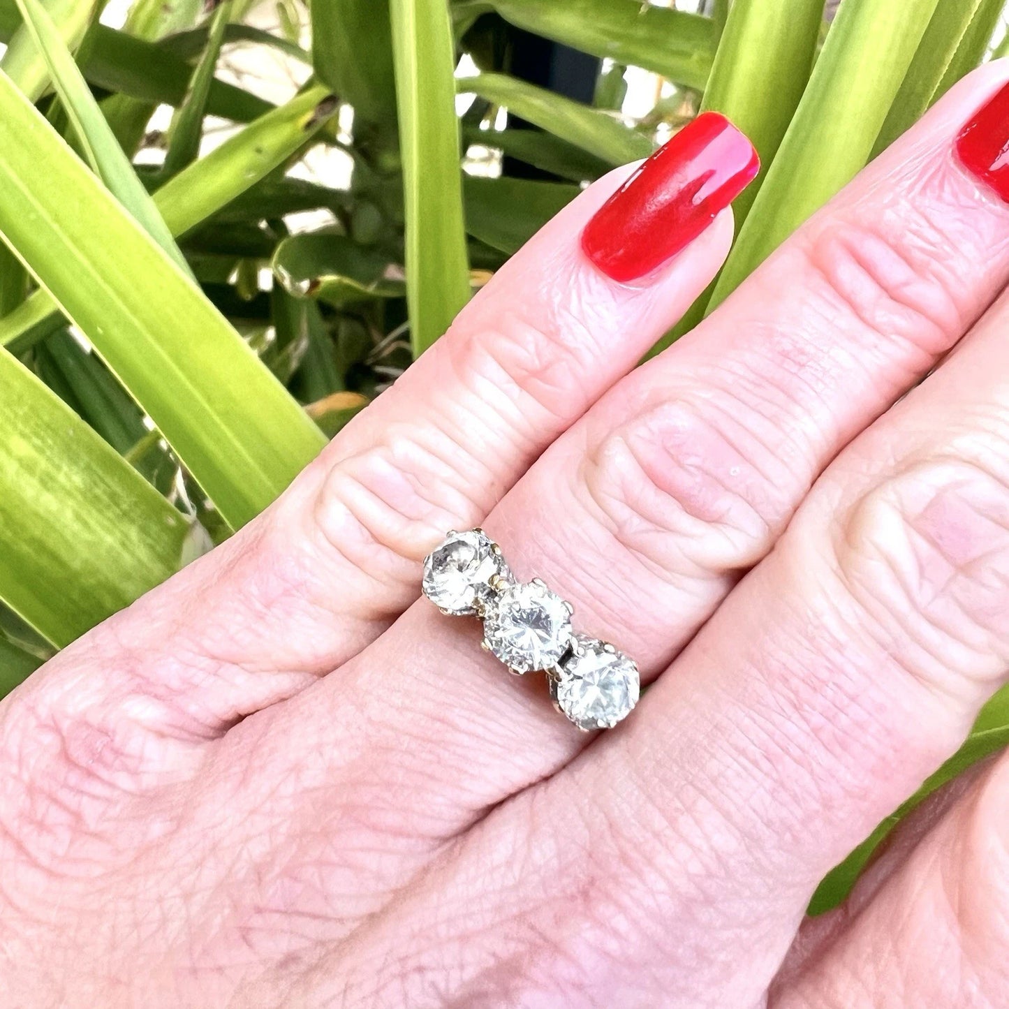Hand wearing a three stone ring with red nail polish against a green leafy background