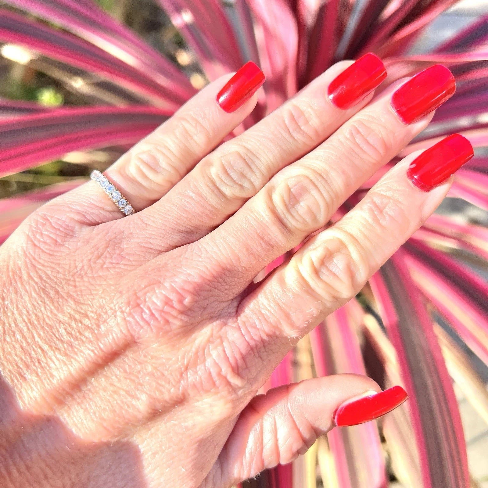 Hand with red nails and a ring in front of pink and green striped leaves