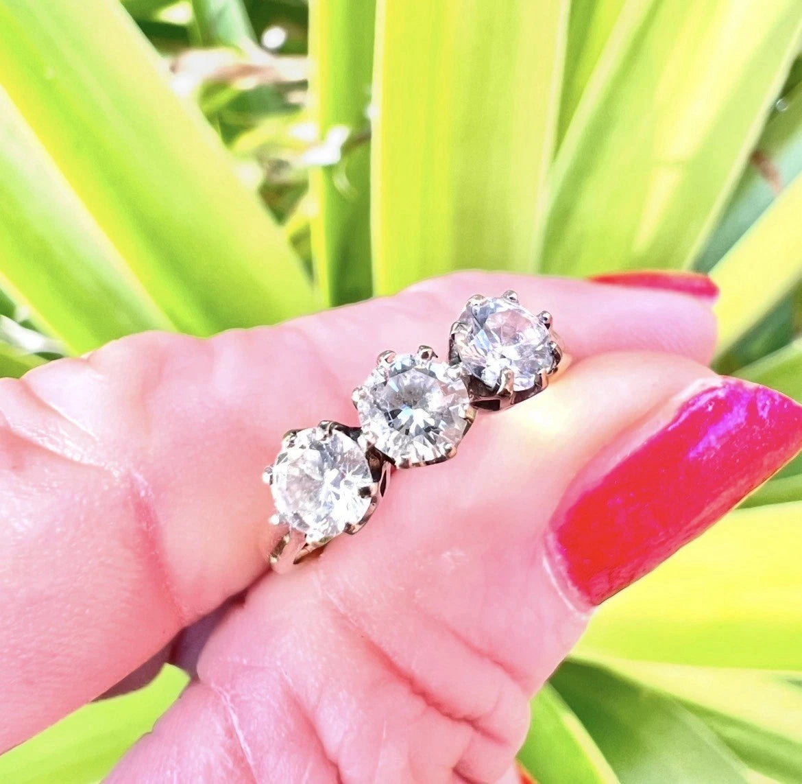 Three-stone cubic zirconia ring on a finger with a green plant background
