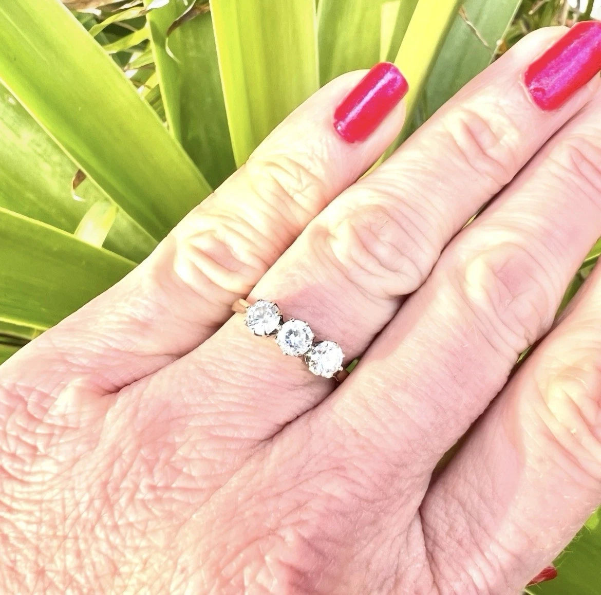 Hand wearing a cubic zirconia three stone ring with a green leafy background