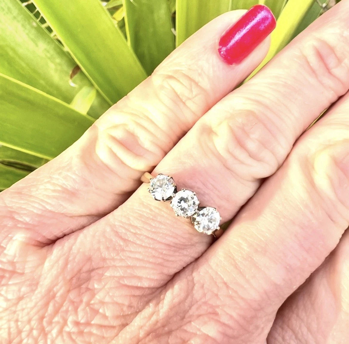 Hand wearing a cubic zirconia ring with a green leafy background