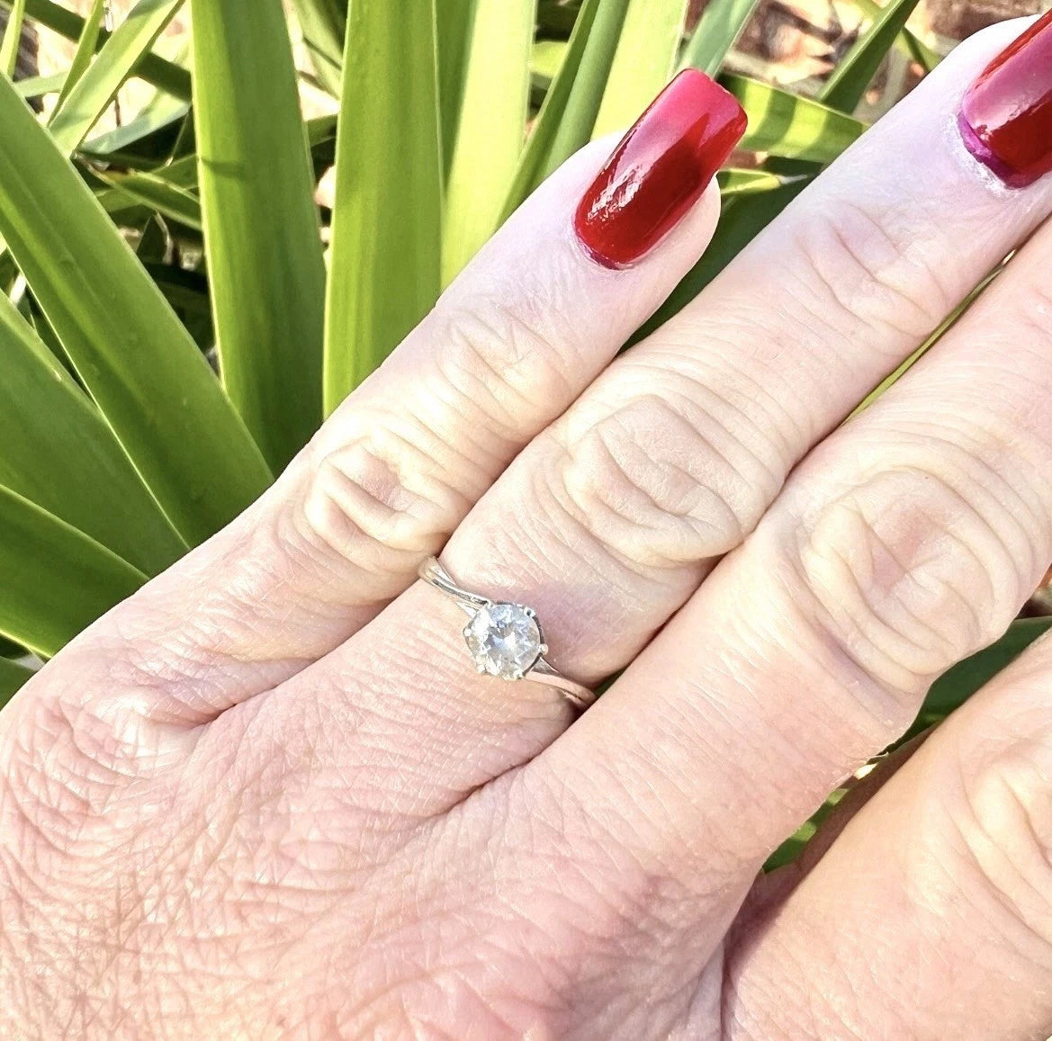 Hand wearing a cubic zirconia ring with red nail polish against a green plant background