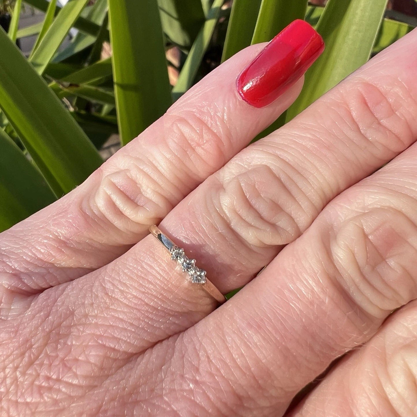 Hand wearing a gold ring with alternating red and white cubic zirconia plant background