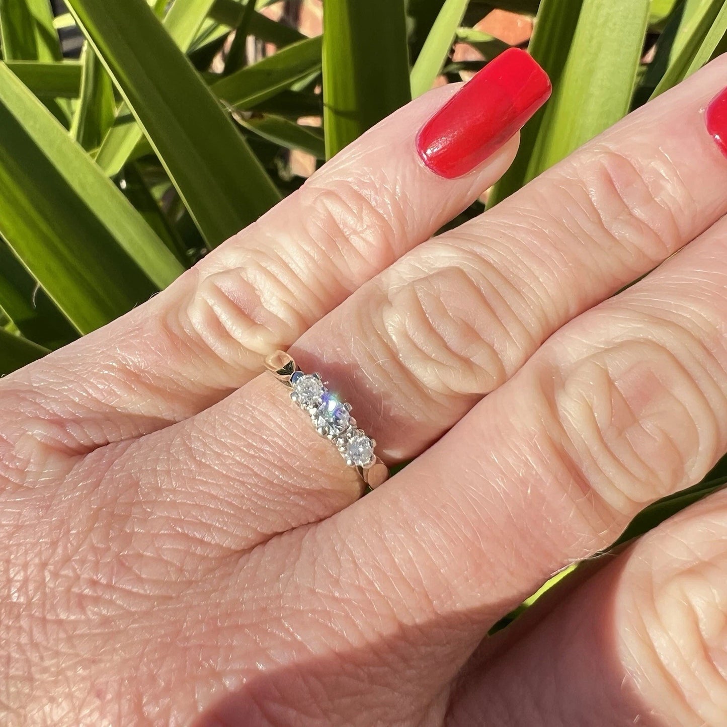 Close-up of a hand wearing a three stone diamond ring with green foliage in the background