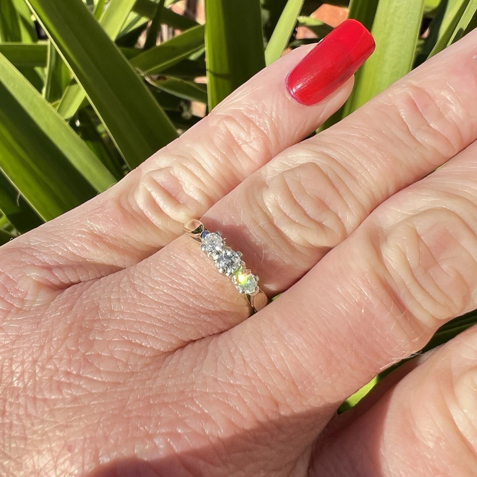 Close-up of a hand wearing a diamond ring with a green leafy background