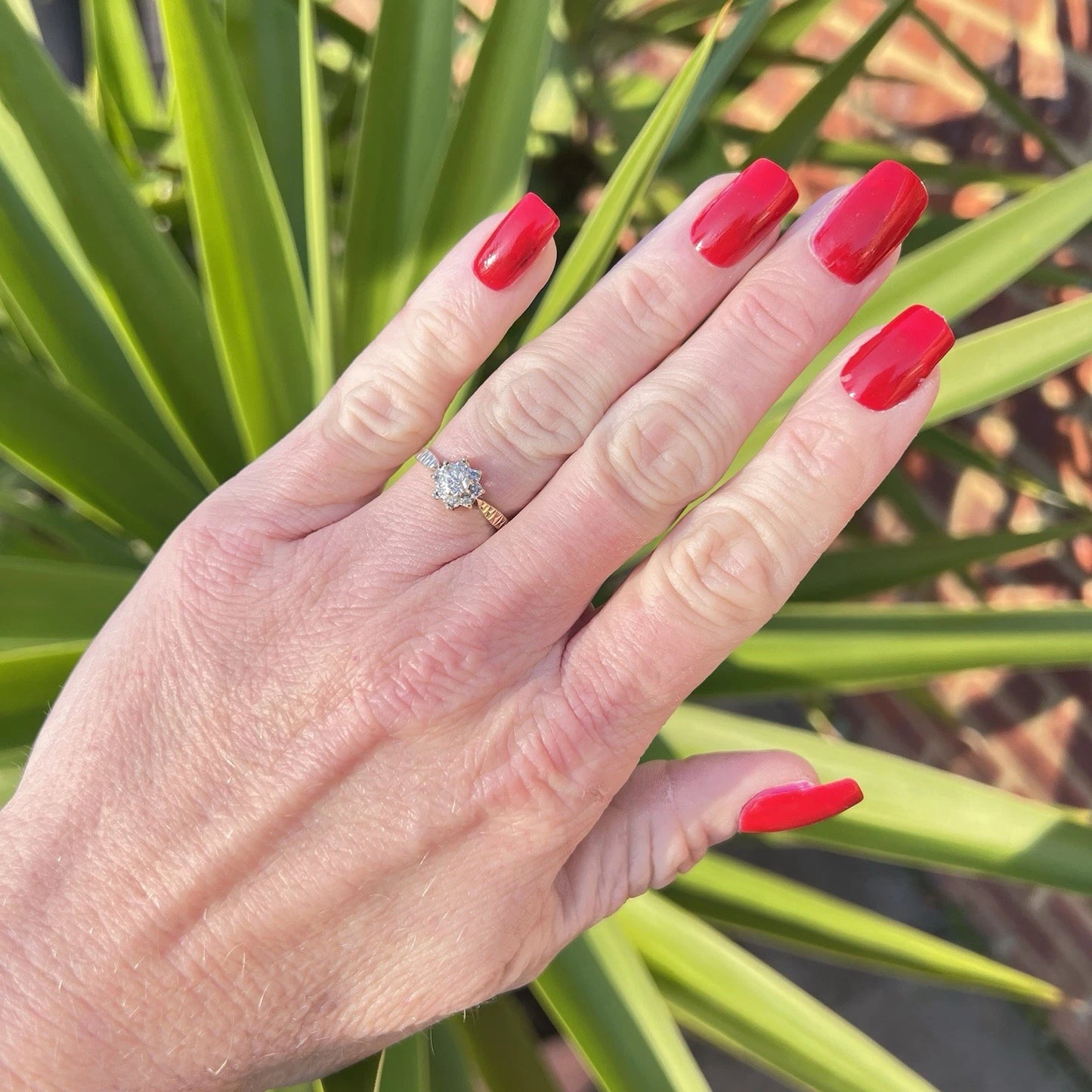 Hand with red nails and a gold diamond cluster ring in front of green plants