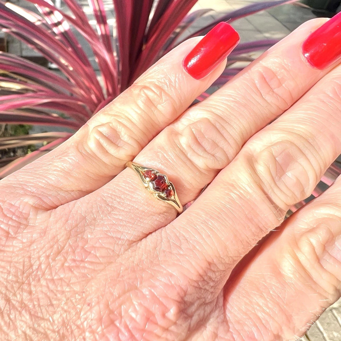 Hand wearing a gold ring with a red gemstone against a blurred plant background