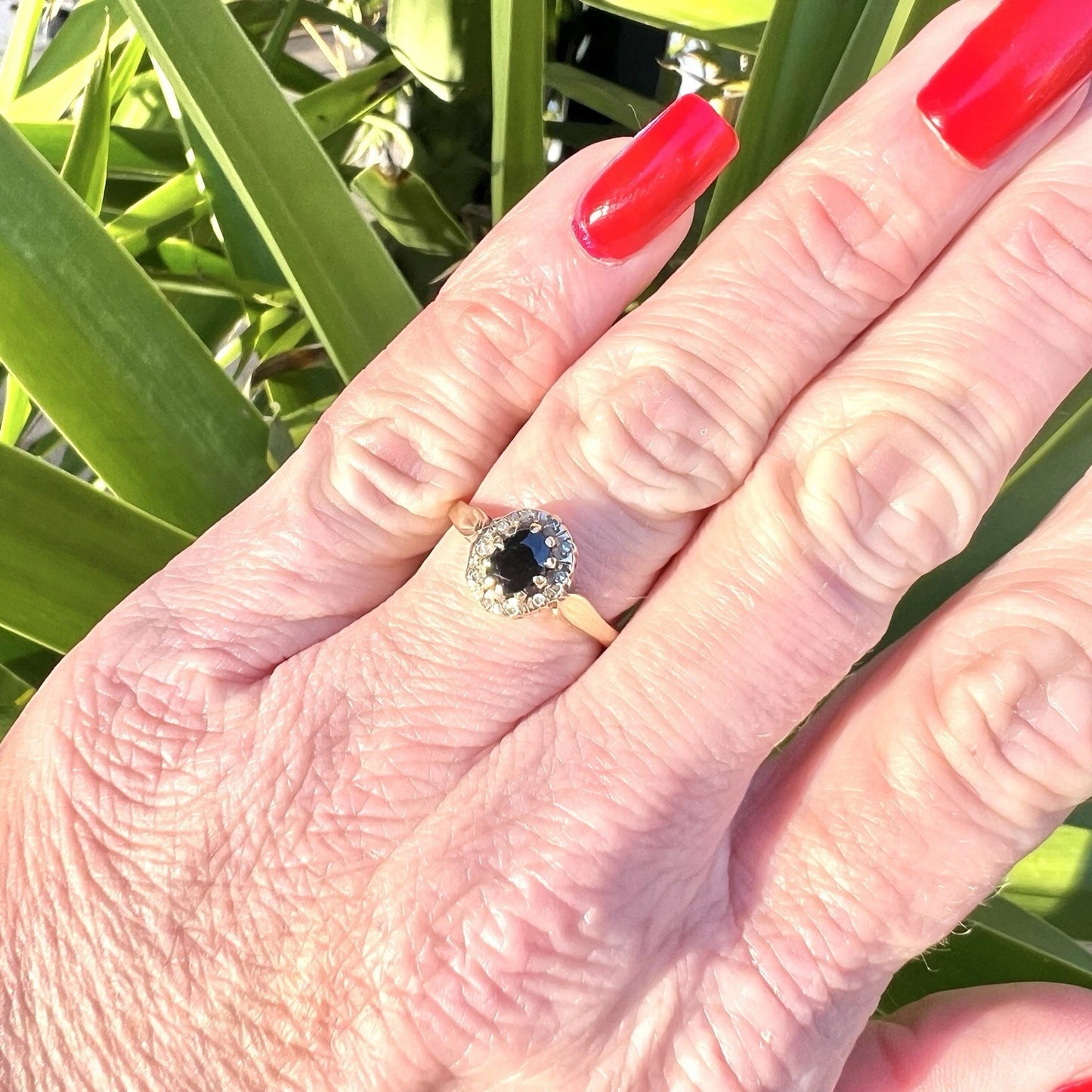 Hand wearing a sapphire and diamond ring against a green leafy background