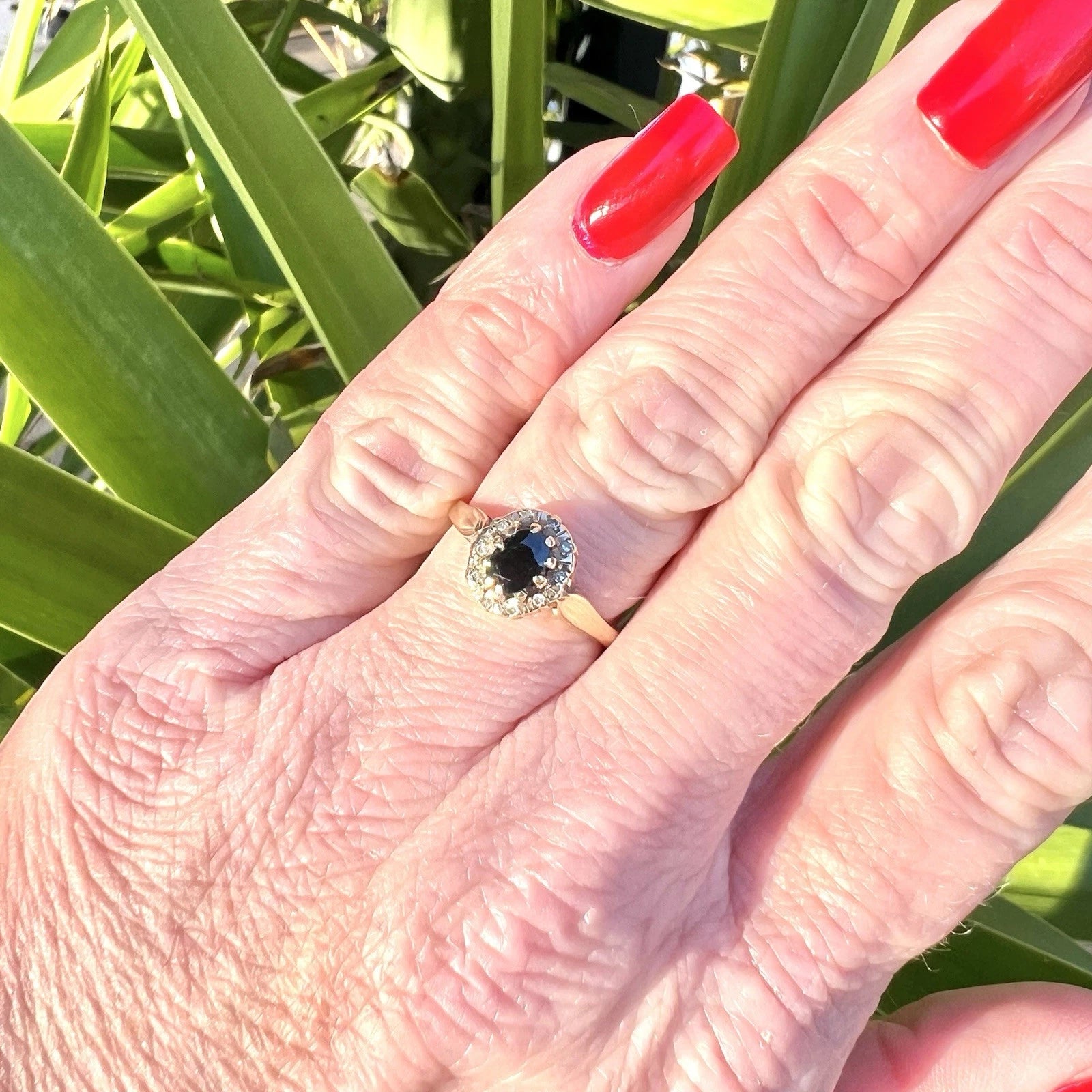 Hand wearing a sapphire and diamond ring against a green leafy background