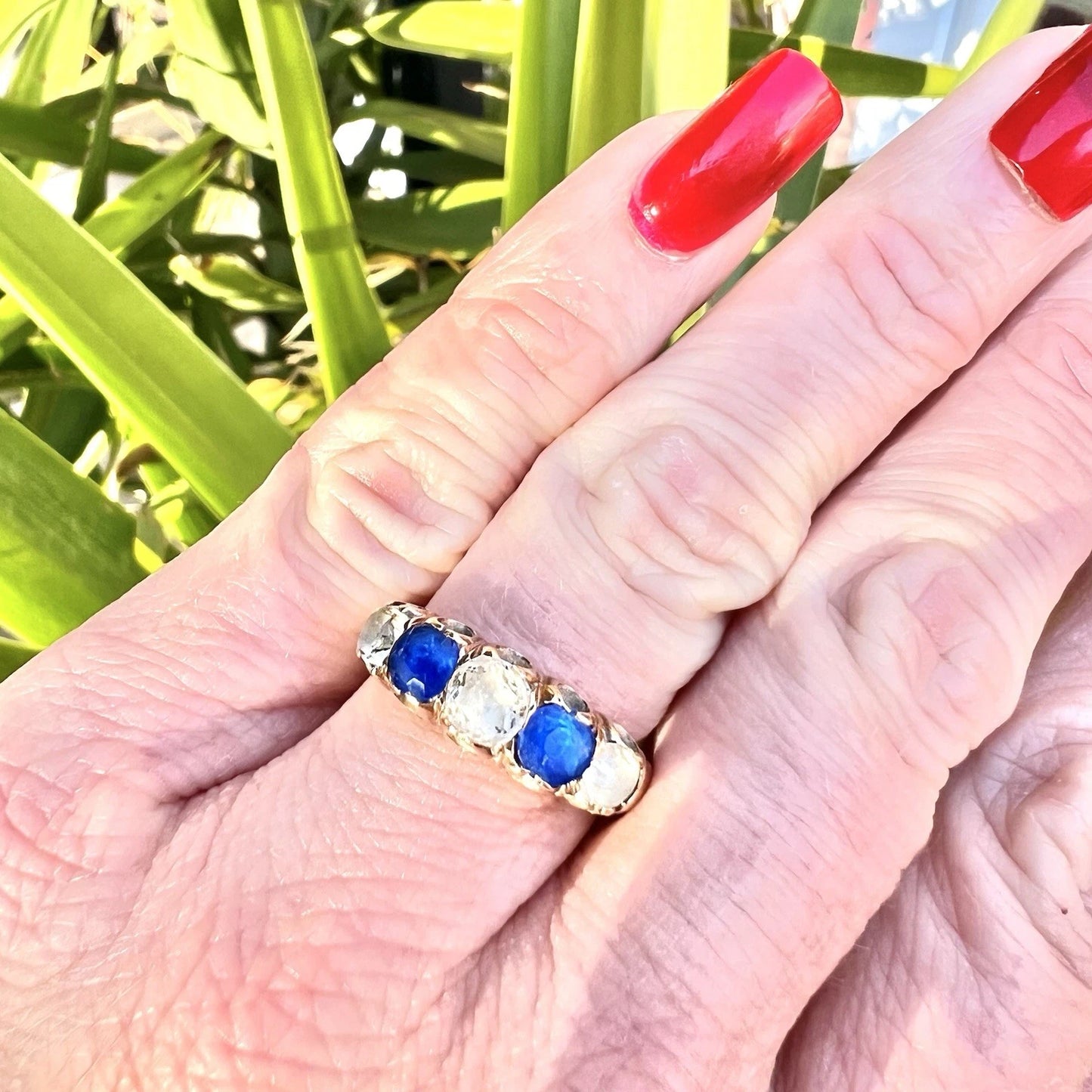 Hand wearing a gold ring with blue stones against a green leafy background