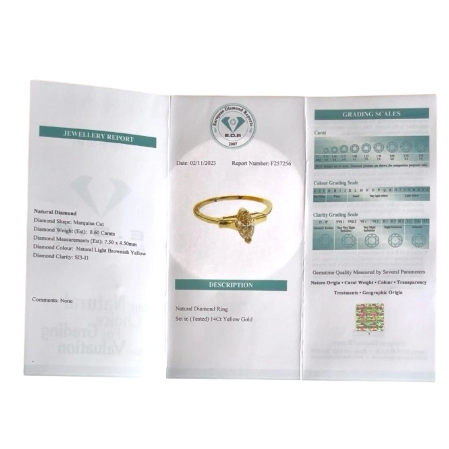 Jewelry report card with a gold ring on a white background