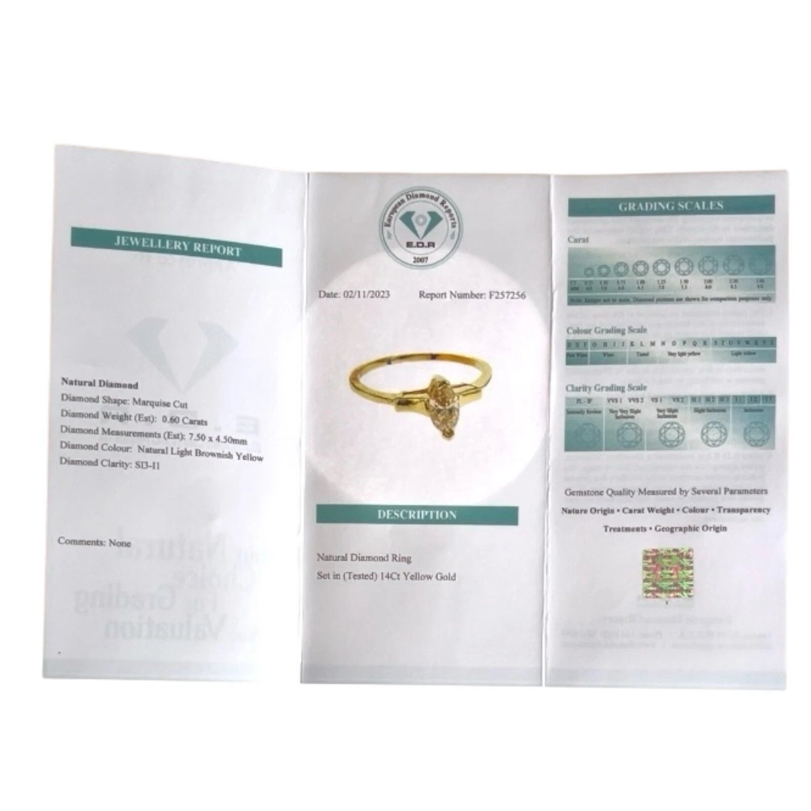 Jewelry report card with a gold ring on a white background